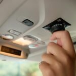 Citroën Pawlingo, concept su base Berlingo Van per il trasporto professionale dei cani
